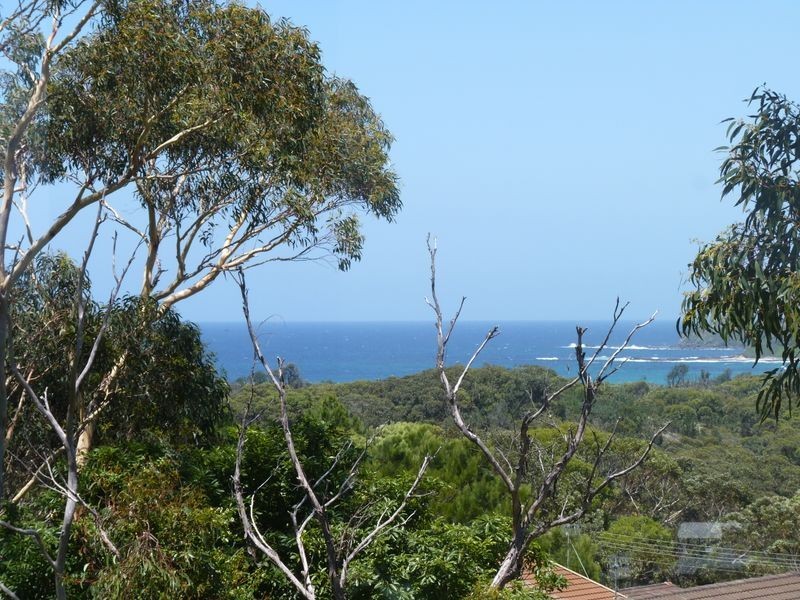 12 Braidwood Avenue, Burrill Lake NSW 2539