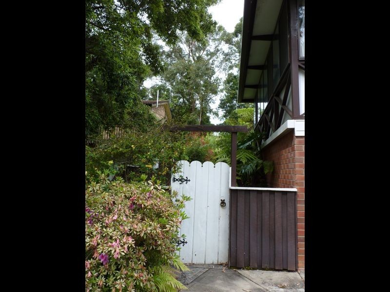 10 Sandra Street, Bawley Point NSW 2539