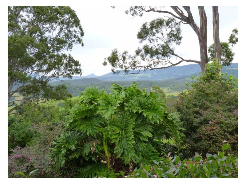 28B Rogers Road, Bawley Point NSW 2539