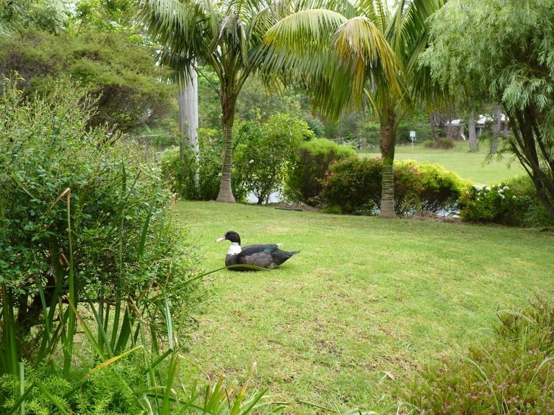 25 River Road, Lake Tabourie NSW 2539