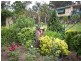 91 Myrtle Gully Road, Conjola NSW 2539