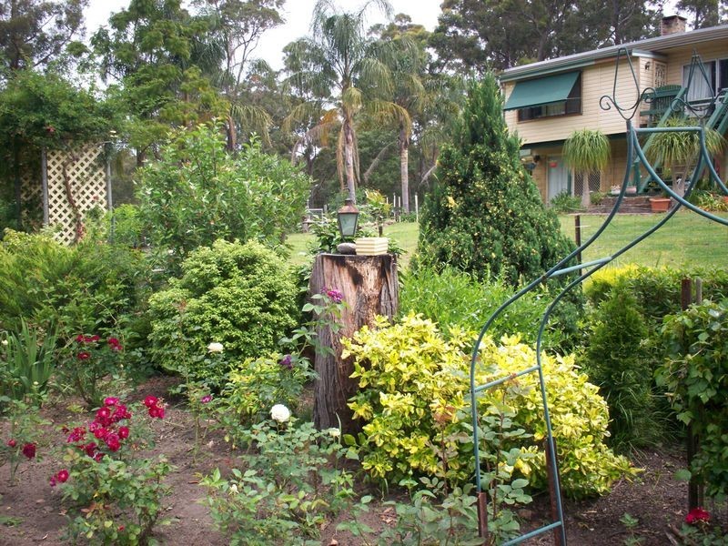 91 Myrtle Gully Road, Conjola NSW 2539
