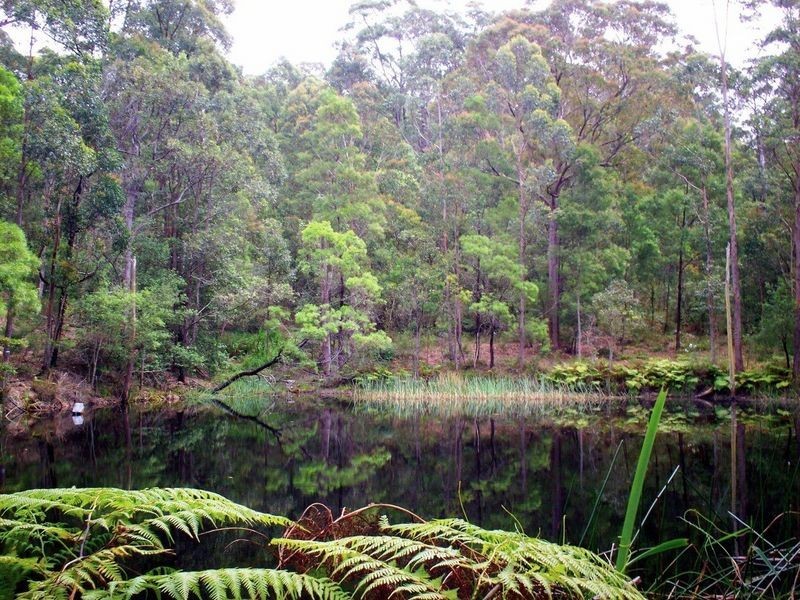 91 Myrtle Gully Road, Conjola NSW 2539