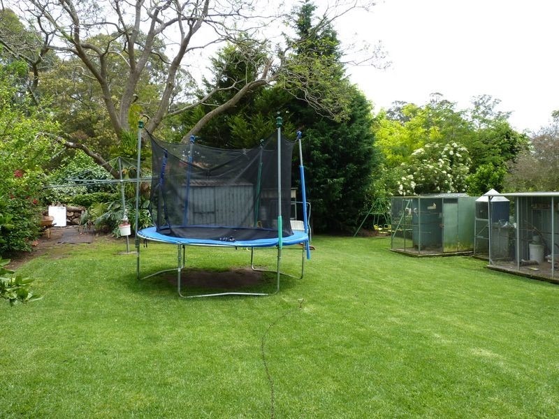 3 Acacia Street, Fishermans Paradise NSW 2539