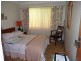 8 Sandra Street, Bawley Point NSW 2539