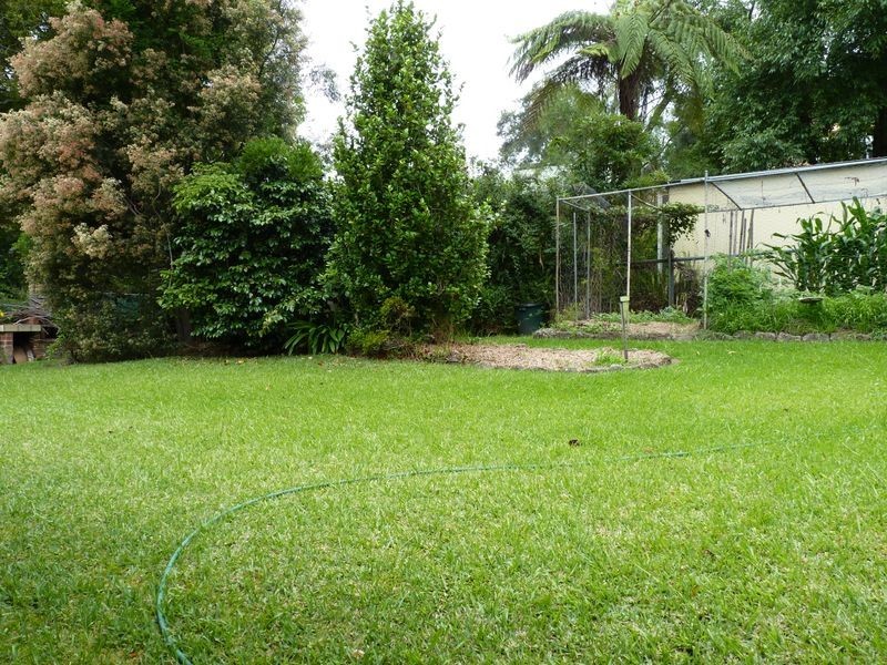 8 Sandra Street, Bawley Point NSW 2539
