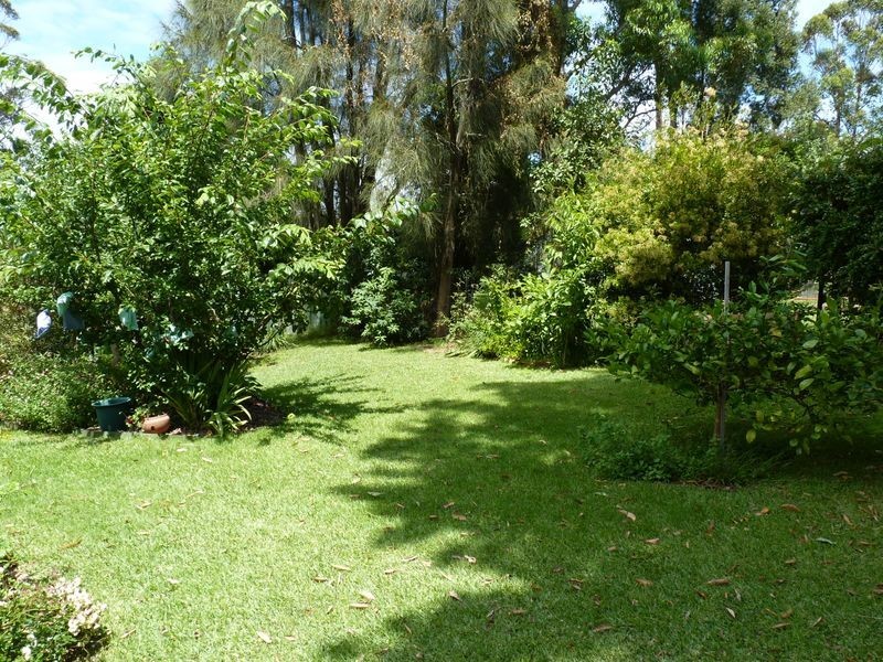 29 Acacia Street, Fishermans Paradise NSW 2539