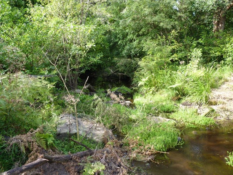 181 Evans Lane, Milton NSW 2538