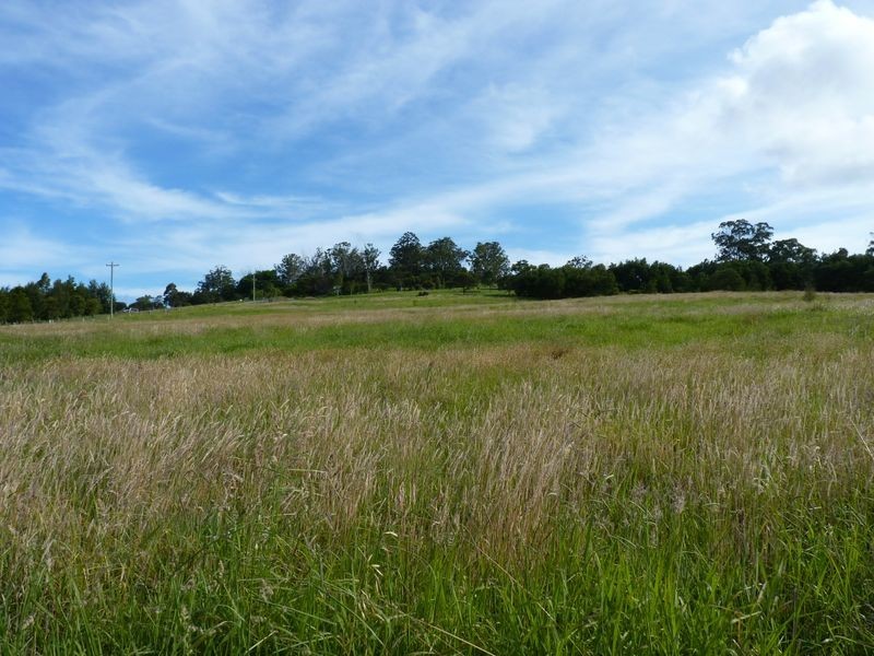 181 Evans Lane, Milton NSW 2538