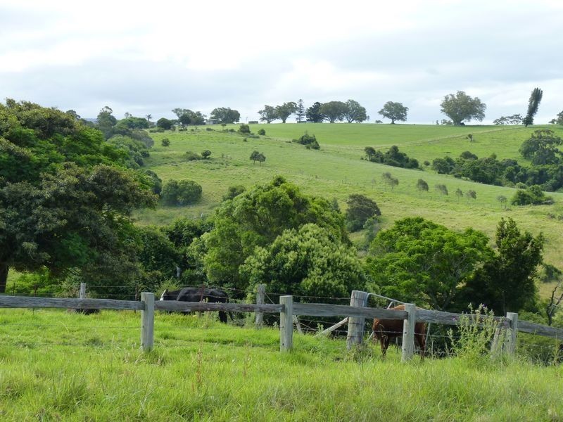 20 & 22A Gordon Street, Milton NSW 2538
