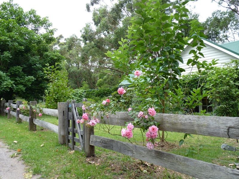 72A Slaughterhouse Road, Milton NSW 2538