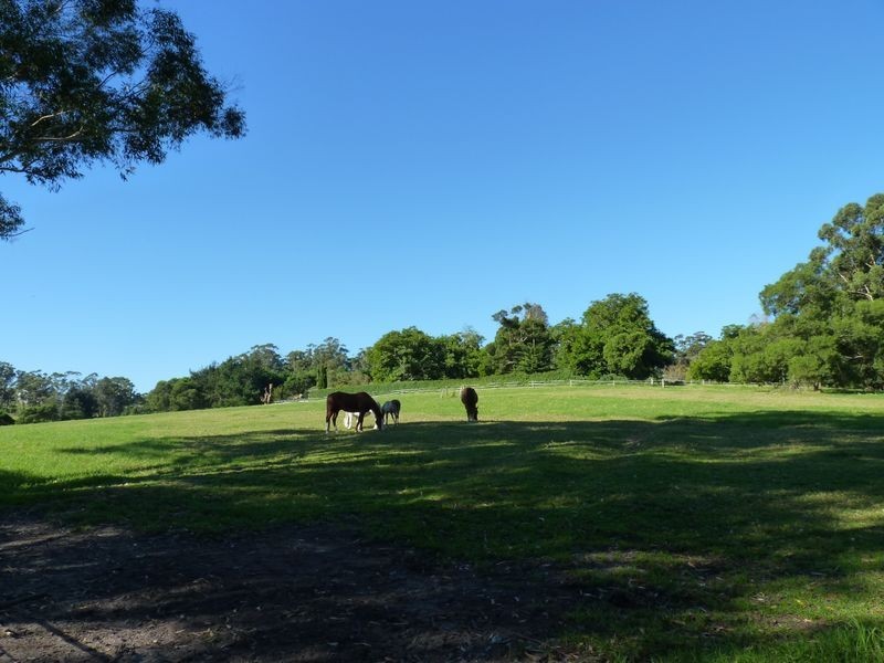 72A Slaughterhouse Road, Milton NSW 2538