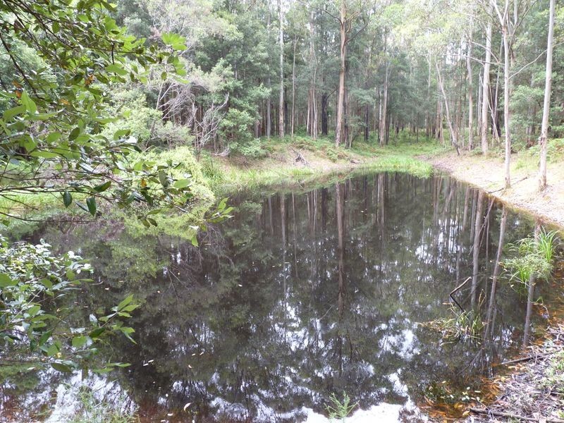 21/669 Woodburn Road, Milton NSW 2538