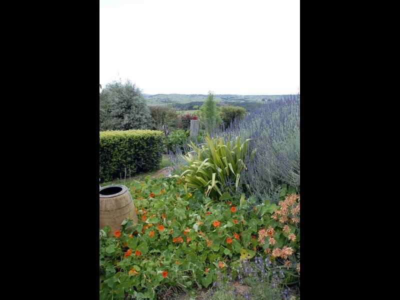 108 Evans Lane, Milton NSW 2538