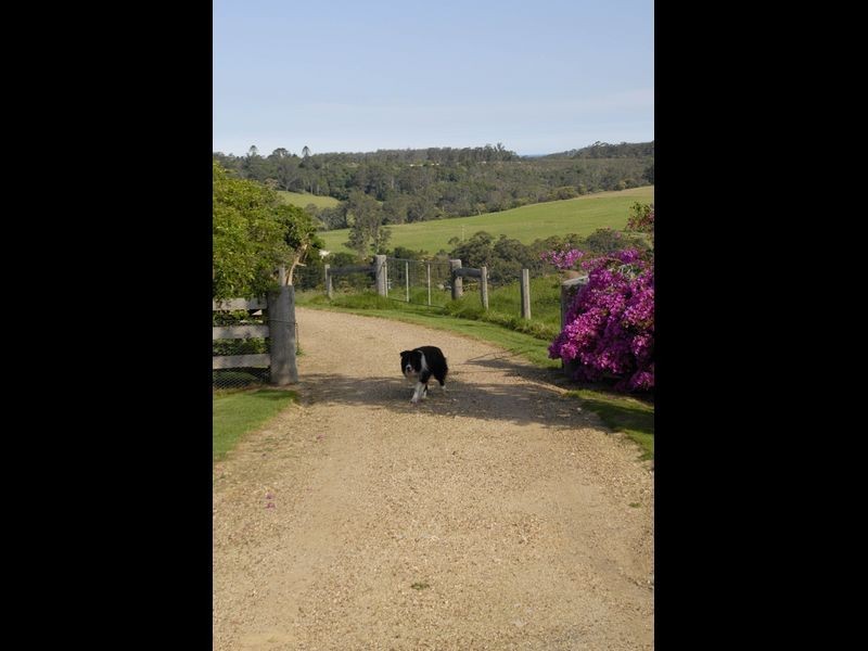 108 Evans Lane, Milton NSW 2538