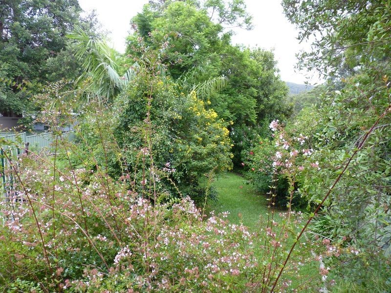 20 Acacia Street, Fishermans Paradise NSW 2539