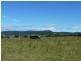 Lot 8 Croobyar Road, Milton NSW 2538