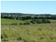 Lot 8 Croobyar Road, Milton NSW 2538