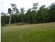63 Tallawalla Way, Termeil NSW 2539