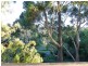 24 Pengana Crescent, Mollymook NSW 2539