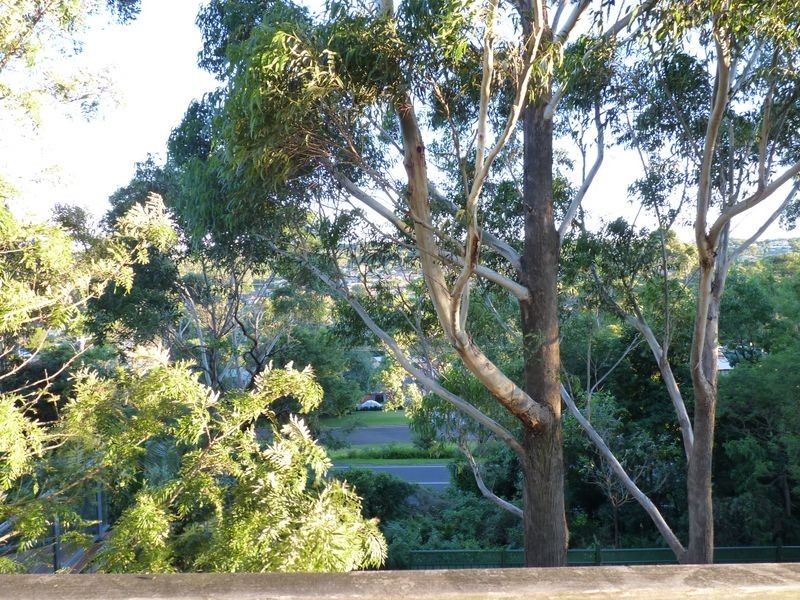 24 Pengana Crescent, Mollymook NSW 2539