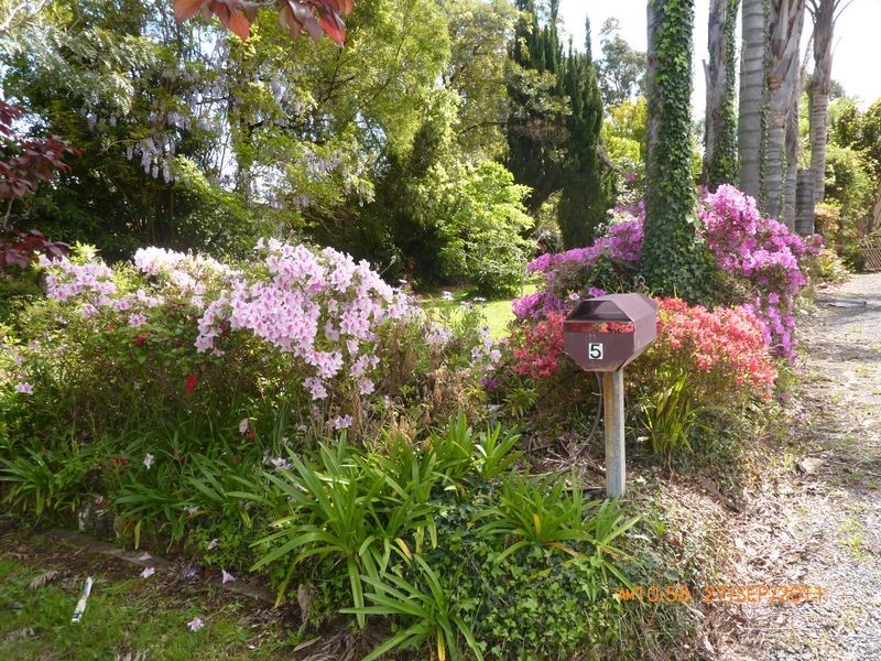 5 Boag Street, Mollymook NSW 2539