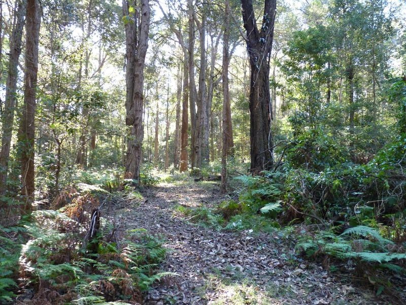 Lot 3 Tuckerman Rd, Ulladulla NSW 2539