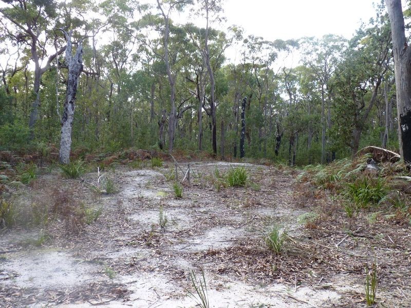 11 Sandgroper Crescent, Lake Conjola NSW 2539