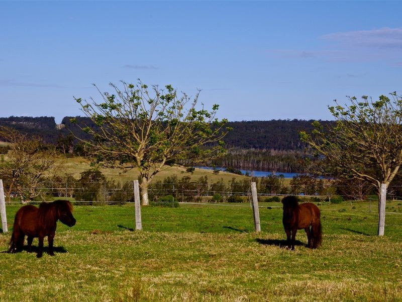 24 Hobbs Lane, Milton NSW 2538