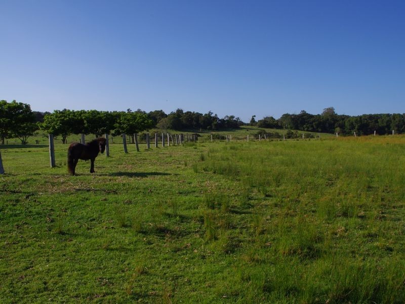 24 Hobbs Lane, Milton NSW 2538