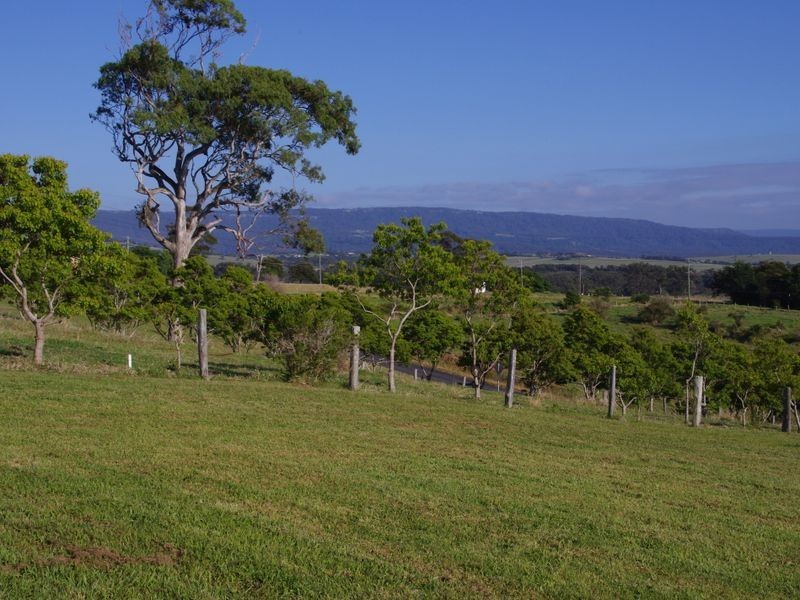 24 Hobbs Lane, Milton NSW 2538