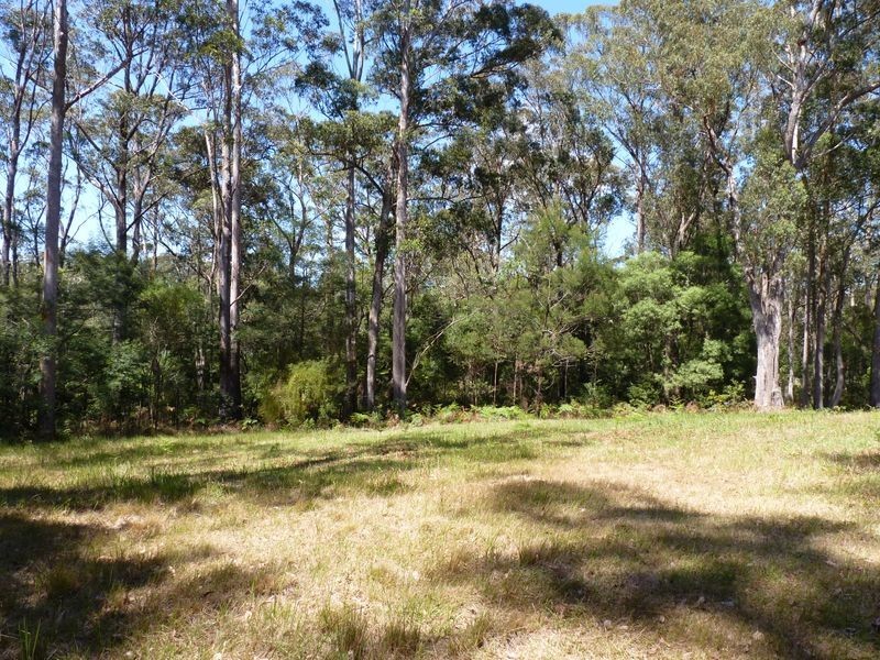 Lot 12 Princes Highway, Conjola NSW 2539