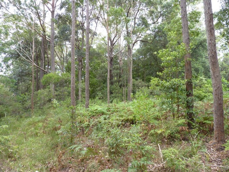8A Colden Place, Ulladulla NSW 2539