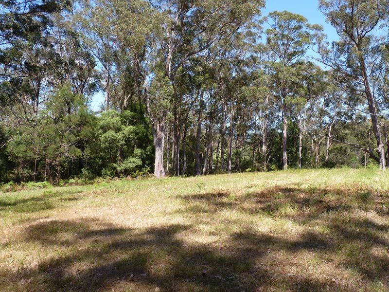 Lot 12 Princes Highway, Conjola NSW 2539