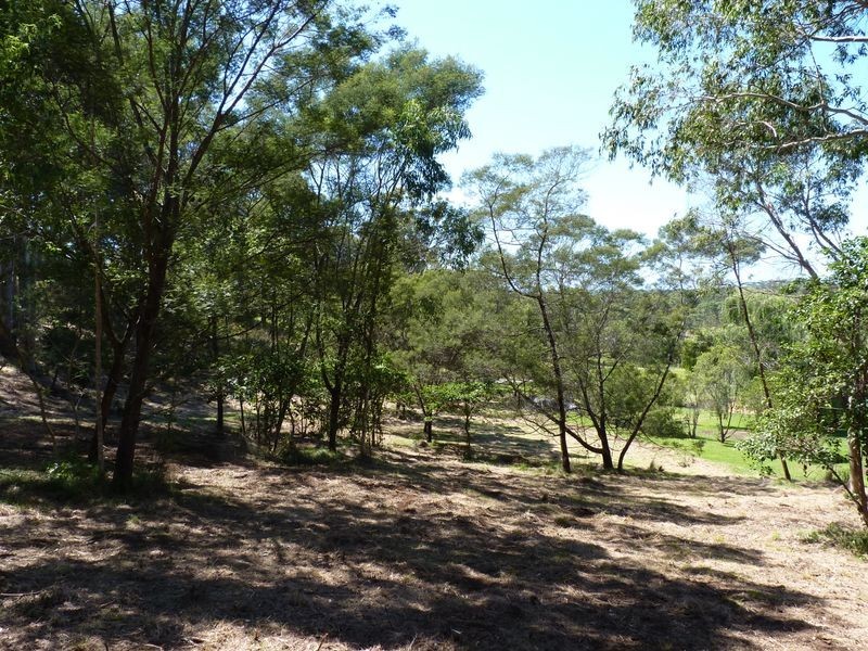 7 Weemala Grove, Bawley Point NSW 2539