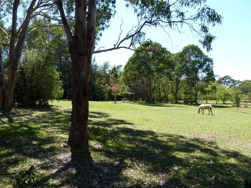 3 The Coral Grove, Bawley Point NSW 2539