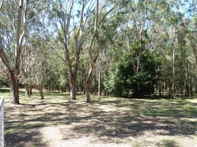 3 The Coral Grove, Bawley Point NSW 2539