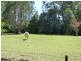 3 The Coral Grove, Bawley Point NSW 2539