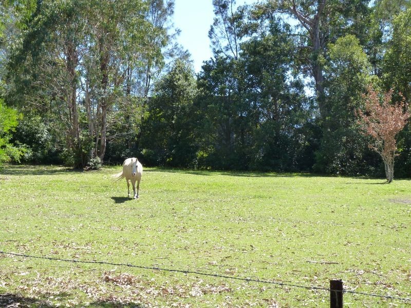 3 The Coral Grove, Bawley Point NSW 2539