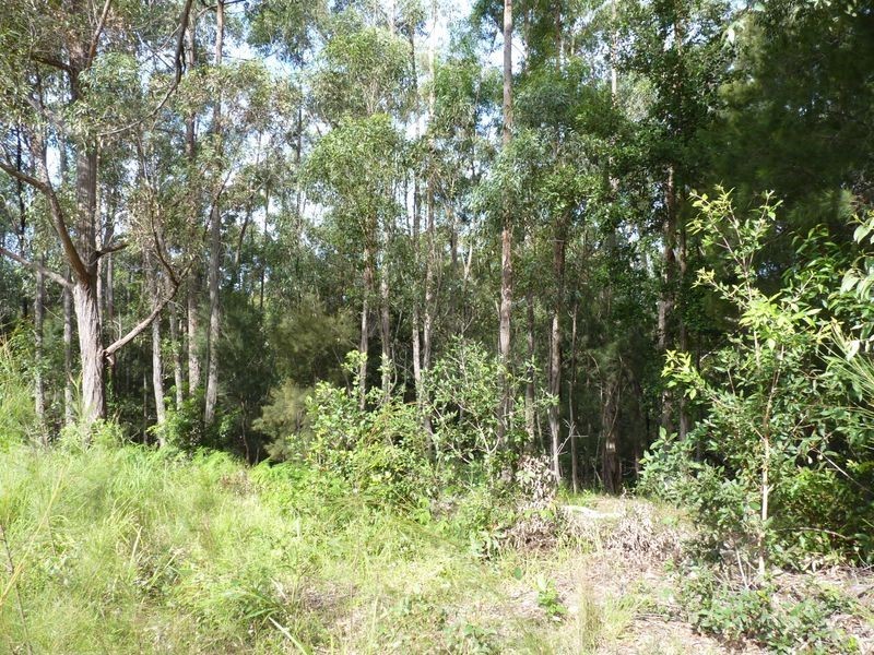 521 Little Forest Road, Milton NSW 2538