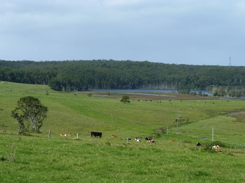 273 Wilfords Lane, Milton NSW 2538