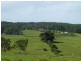 273 Wilfords Lane, Milton NSW 2538