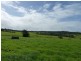 273 Wilfords Lane, Milton NSW 2538