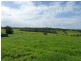 273 Wilfords Lane, Milton NSW 2538