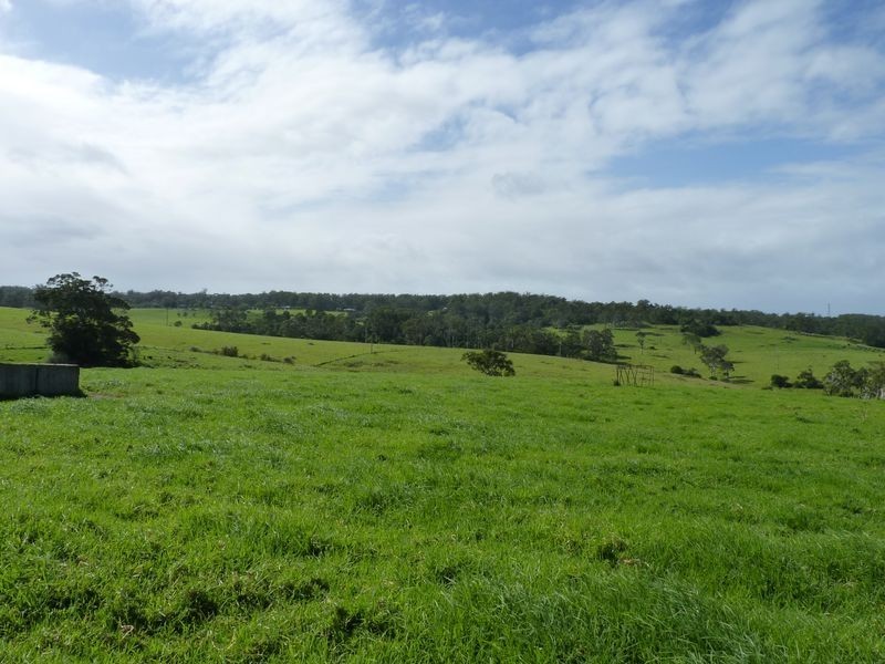 273 Wilfords Lane, Milton NSW 2538