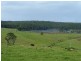 273 Wilfords Lane, Milton NSW 2538