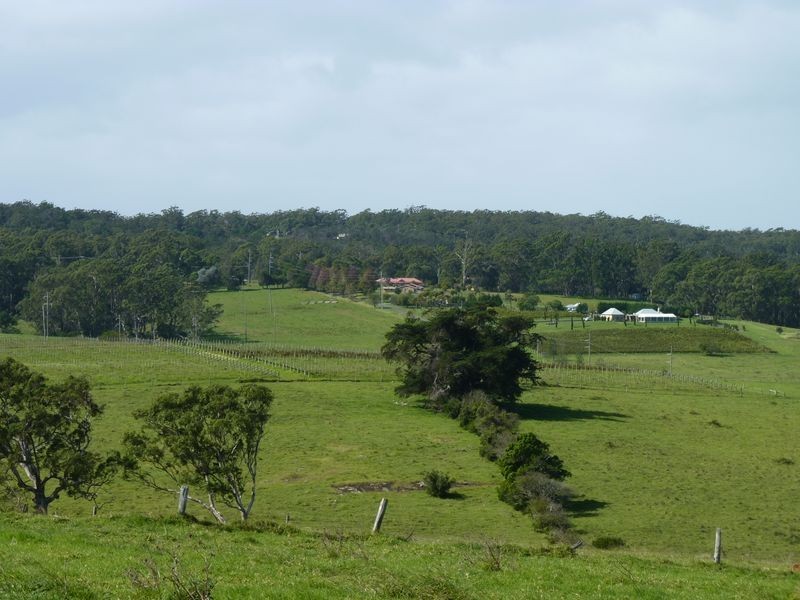 273 Wilfords Lane, Milton NSW 2538