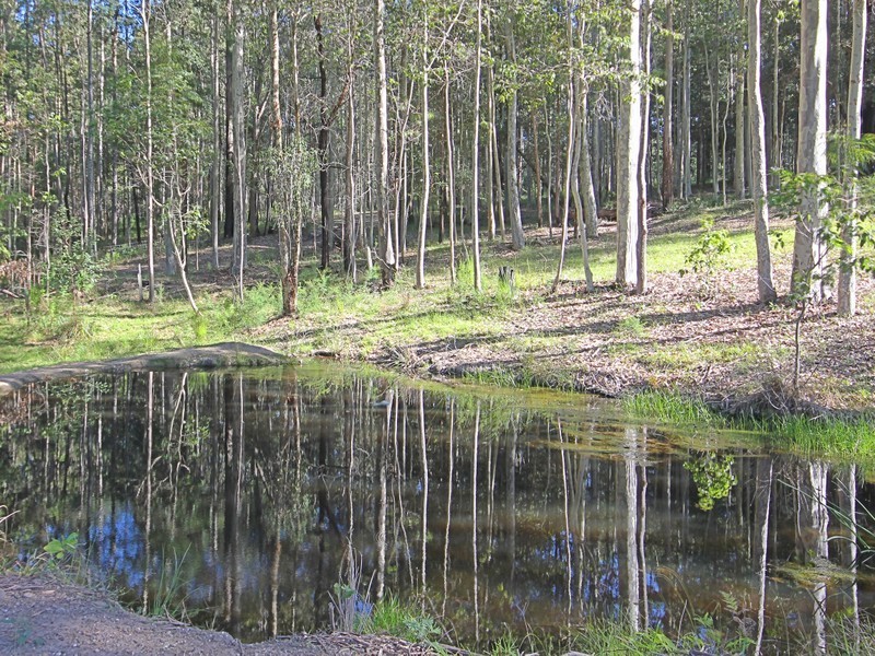 669 Woodburn Road, Milton NSW 2538