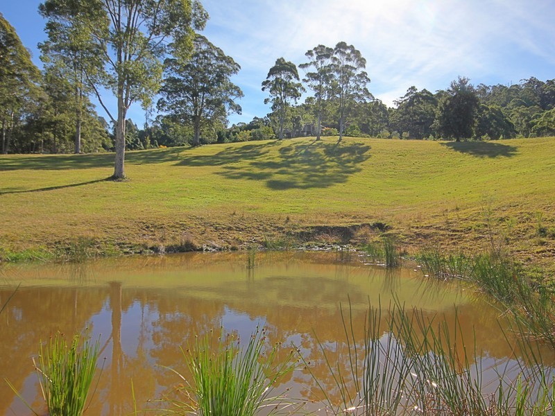 669 Woodburn Road, Milton NSW 2538