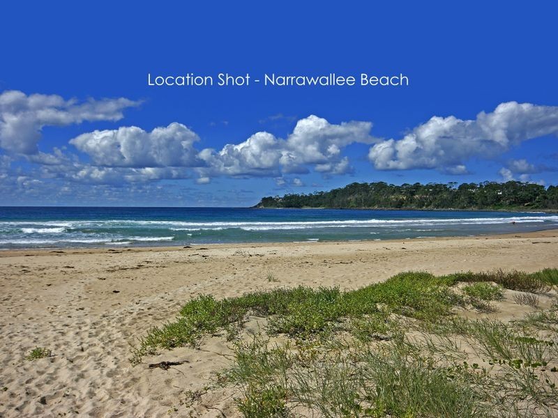147 Matron Porter Drive, Narrawallee NSW 2539